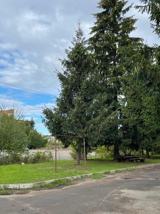 Lux Apartment Berehove (Transcarpathia)