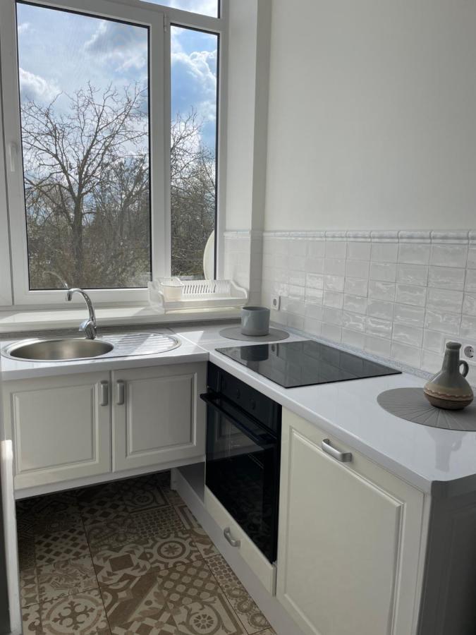 Lux Apartment Berehove (Transcarpathia)